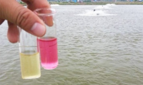 When Water Turns Silent: Understanding and Solving the Hidden Problem of Nitrates