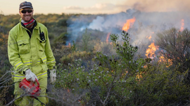 Effective Bushfire Mitigation Strategies for Your Property Today