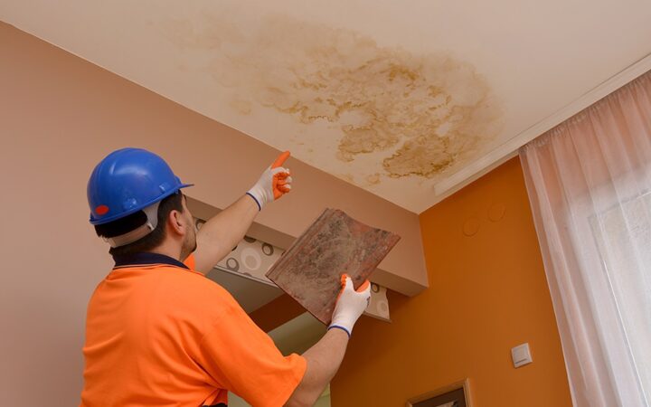 water damage repair in Bellingham, WA,