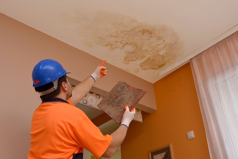 water damage repair in Bellingham, WA,